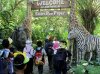 Bali Safari & Marine Park